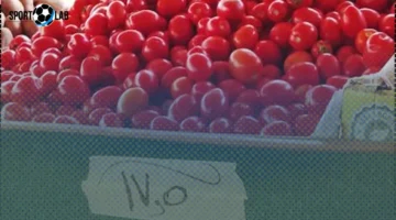 أسعار الخضروات والفاكهة في جنوب سيناء الجمعة 24 أكتوبر 2025